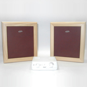 Picture of Flat Panel Speaker for Model No A 001W