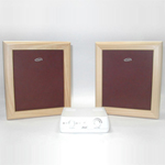 Picture of Flat Panel Speaker for Model No A 001W